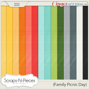 Family Picnic Day Cardstocks - Scraps N Pieces 