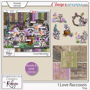 I Love Raccoons Trio by Scrapbookcrazy Creations