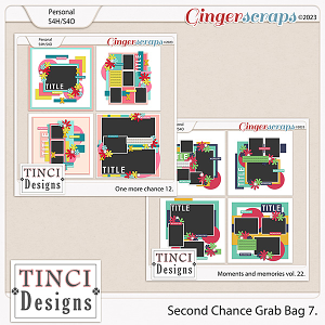 Second Chance Grab Bag 7