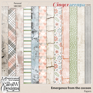 Emergence from the cocoon-Papers