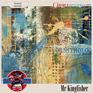Mr Kingfisher Graffiti By The Brit Chick