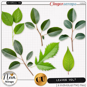 Leaves VOL7 - CU - by Neia Scraps