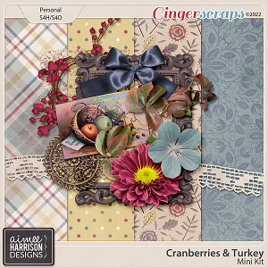 Cranberries and Turkey Mini Kit by Aimee Harrison