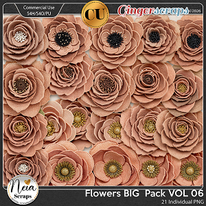 Flowers - BIG Pack VOL06 {CU} - by Neia Scraps Flowers - BIG Pack VOL06 {CU} - by Neia Scraps