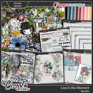 Live in the Moment-Bundle
