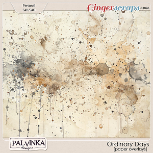 Ordinary Days Paper Overlays by Palvinka Designs