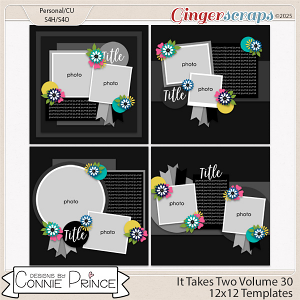 It Takes Two Volume 30  - 12x12 Temps (CU Ok) by Connie Prince