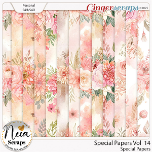 Special Papers VOL14 by Neia Scraps Special Papers VOL14 by Neia Scraps
