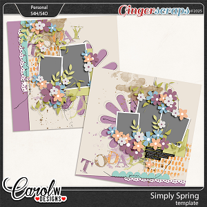 Simply Spring-Template