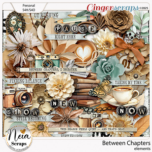 Between Chapters - Elements - by Neia Scraps