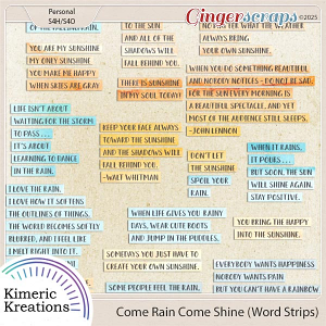 Come Rain Come Shine Word Strips by Kimeric Kreations