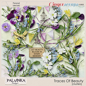 Traces Of Beauty Clusters