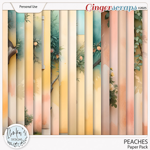 Peaches Paper Pack by Ilonka's Designs 