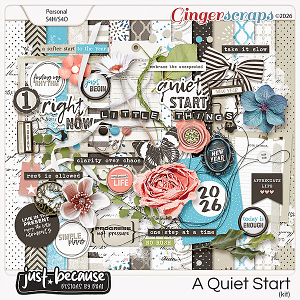 A Quiet Start Kit by Just Because Studio