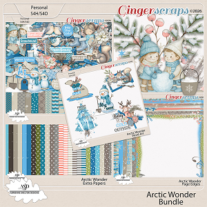 Arctic Wonder Bundle- By Adrienne Skelton Design 