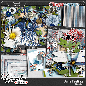 June Feeling-Bundle