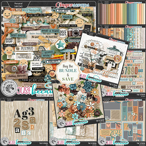 Year In Review [Bundle] by Cindy Ritter and JB Studio