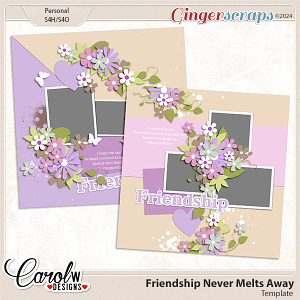 Friendship Never Melts Away-Template