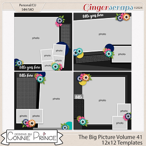 The Big Picture Volume 41 - 12x12 Temps (CU Ok) by Connie Prince