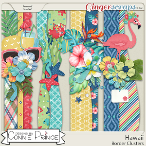 Hawaii  - Borders by Connie Prince