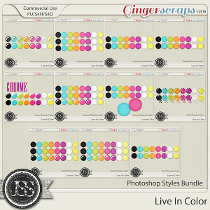Live In Color CU Photoshop Styles Bundle