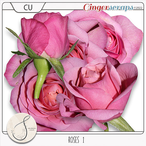 Roses 1 CU