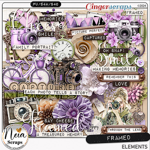 Framed - Elements - by Neia Scraps