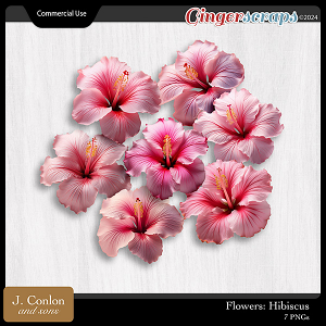 Flowers: Hibiscus CU Embellishments by J. Conlon and Sons