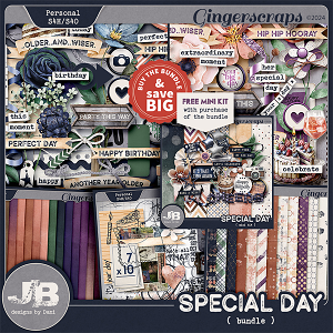 Special Day Bundle by JB Studio