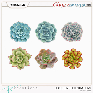 Succulents Illustrations (CU) by GS Creations