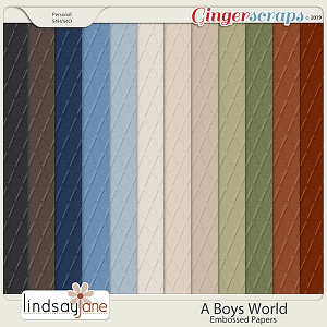 A Boys World Embossed Papers by Lindsay Jane