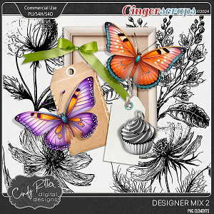 Designer Mix 2 [CU] by Cindy Ritter