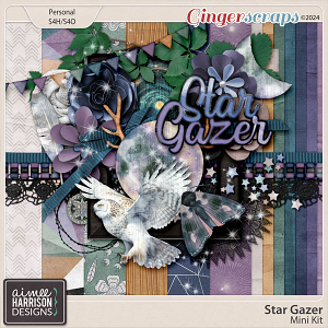 Star Gazer Mini Kit by Aimee Harrison