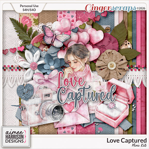 Love Captured Mini Kit by Aimee Harrison