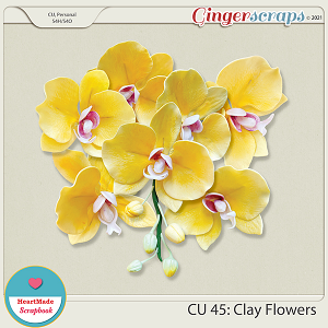 CU 45 - Clay flowers - orchid