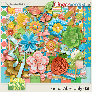 Good Vibes Only Kit