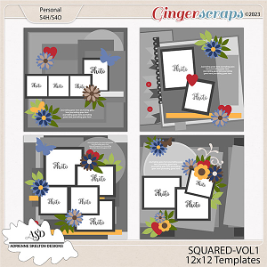 Squared Templates-Vol1 by Adrienne Skelton Designs