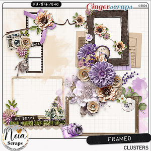 Framed - Clusters - by Neia Scraps