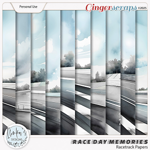 Race Day Memories Racetrack Papers by Ilonka's Designs 