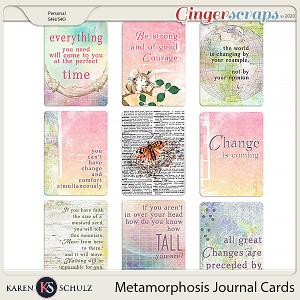 Metamorphosis Pocket Cards by Karen Schulz