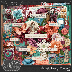 Cherish Every Moment [Kit] by Cindy Ritter