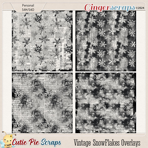 Vintage SnowFlakes Overlays-04 Vintage SnowFlakes Overlays-04