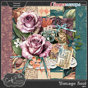 Vintage Soul [Mini] by Cindy Ritter