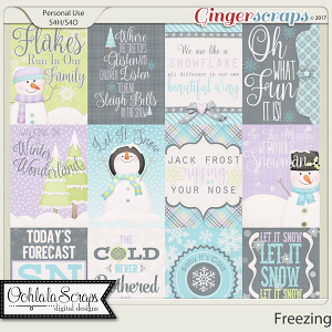 Freezing Journal and Pocket Scrap Cards